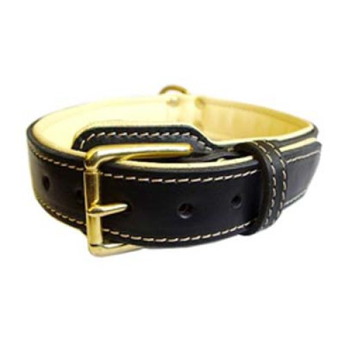  Dog Collars